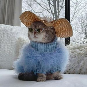 Meet your Posher, TT.